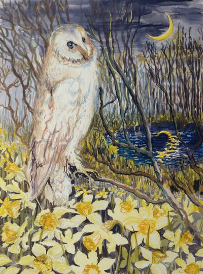 Owl by Joan Thewsey